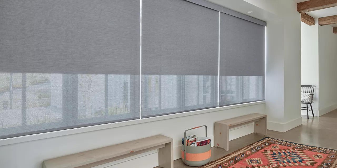 Designer Roller Shades