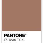 pantone mocha mousse color of the year 2025 color swatch