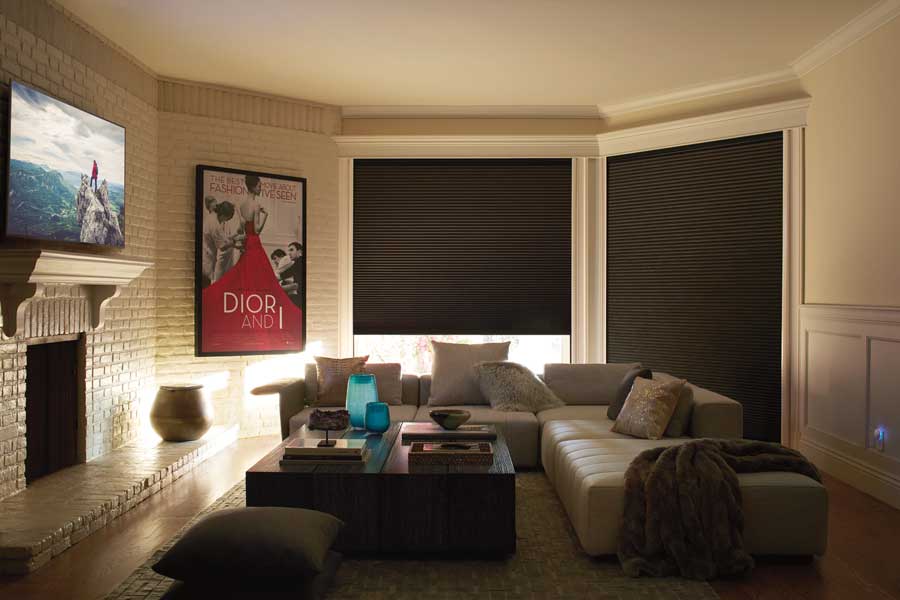 media room blackout shades
