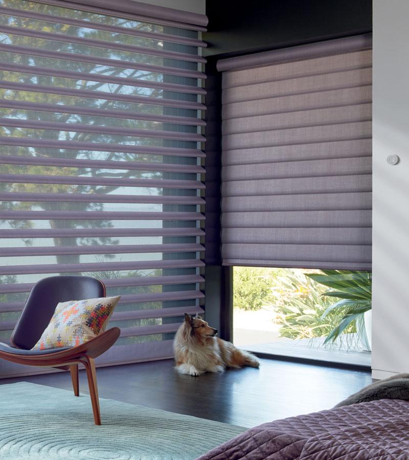 blue floor to ceiling blue window shades with dog in bedroom