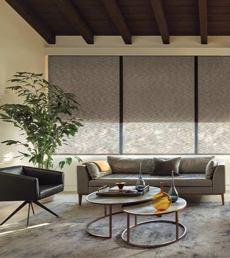 dual roller shades providing UV protection and light control on large windows