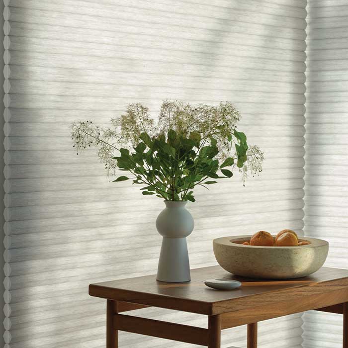 duette_cellular_Shades