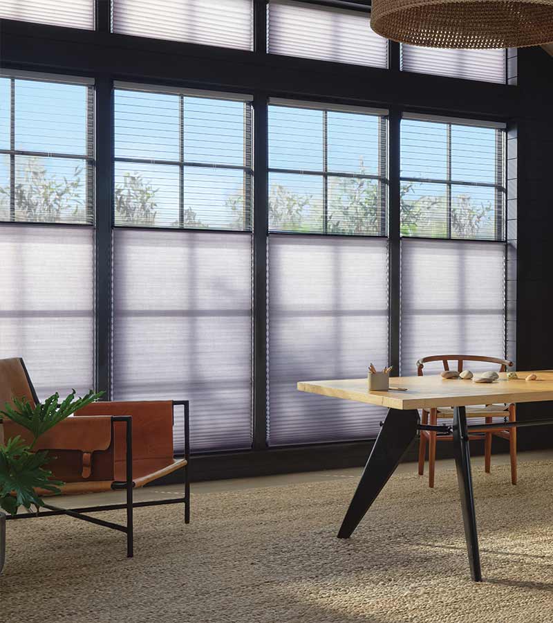 Dual shades with sheer and opaque fabrics for flexible light control throughout the day